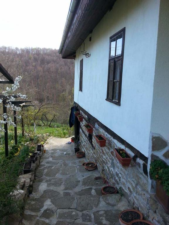 Къща За Гости Ножери Trjawna Exterior foto